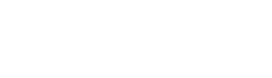 Data-Forge Notebook