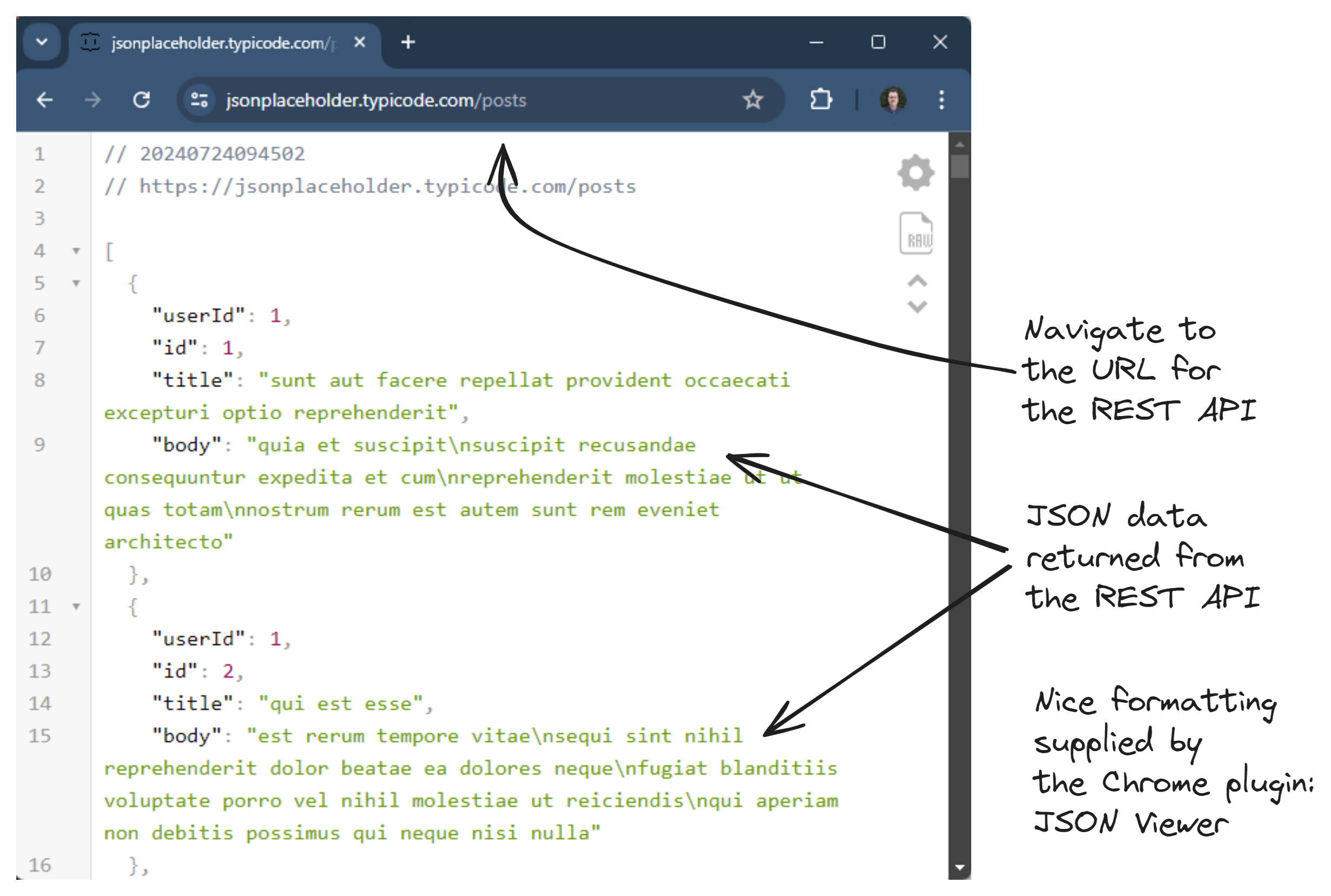 Figure 1: The JSON response from JSON Placeholder getting all blog posts viewed in Chrome.